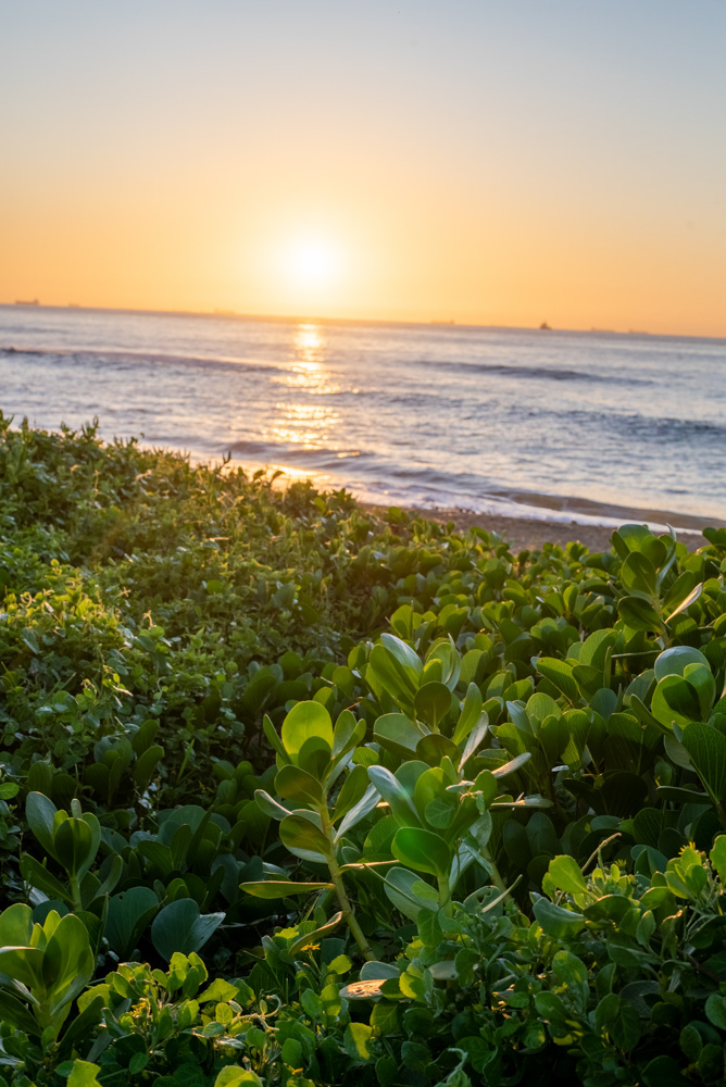 Sunrise-Landscape-Umdloti-Beach