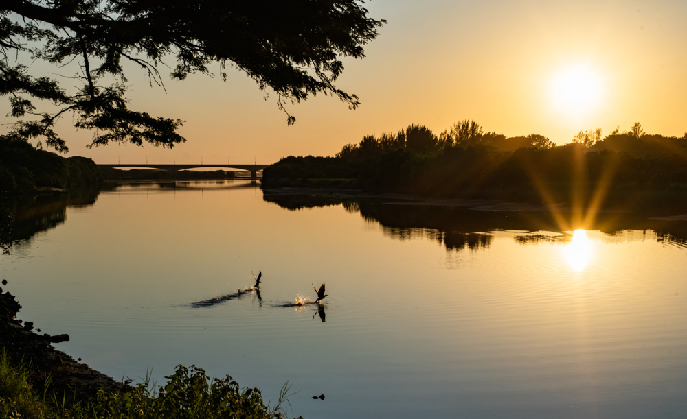 A Golden Sunrise with two birds taking off out of a Peace filled Umgeni River Estuary In Durban