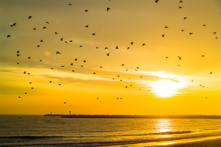 The Durban Harbour Landscape Photography taken at Sunrise from the Ushaka Beach